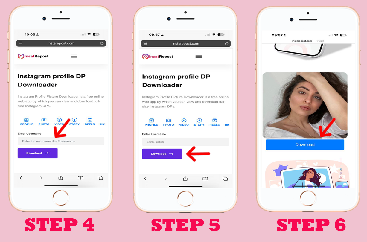 Step 2 - Paste on instarepost and download dp